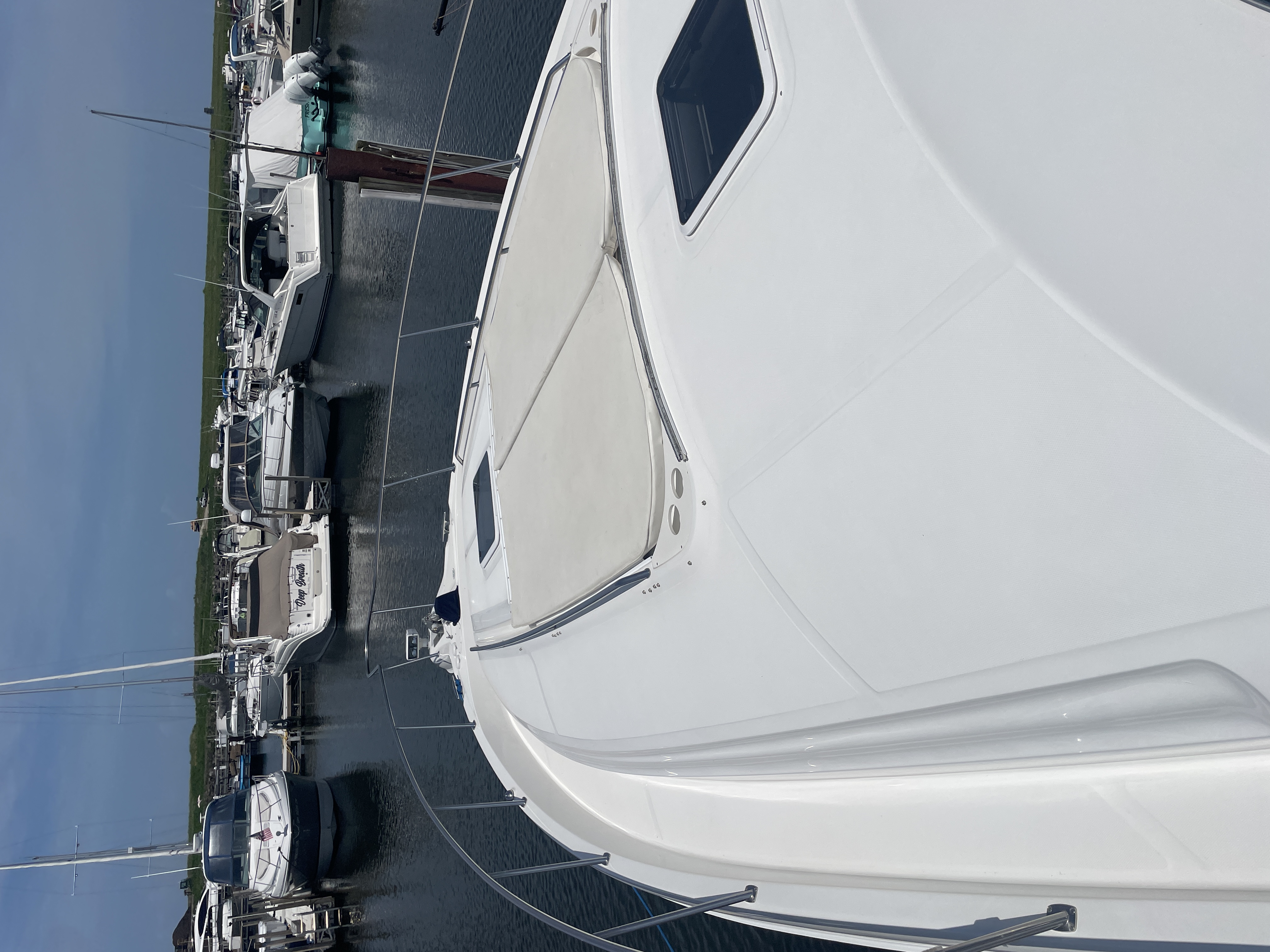 Boat image 12 - 2001 Sea Ray Sundancer 460