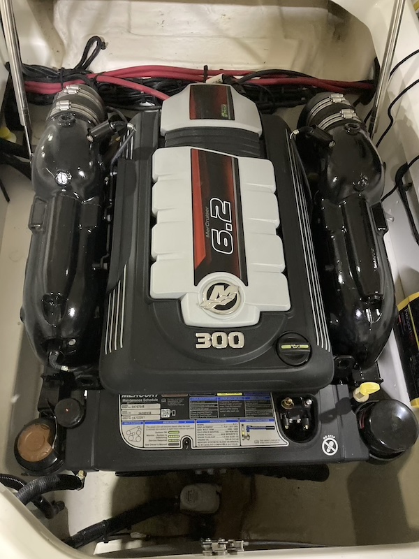 Boat image 14 - 2022 Sea Ray 250 Bow Rider
